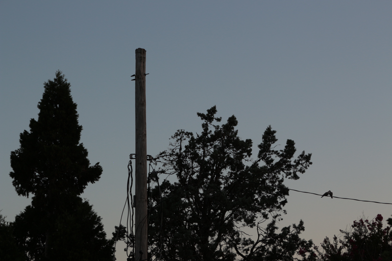 Pda at dusk.
